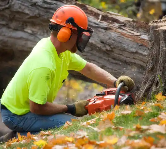 tree services Havelock